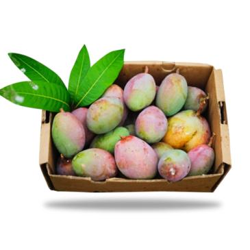Golden Spanish Mango