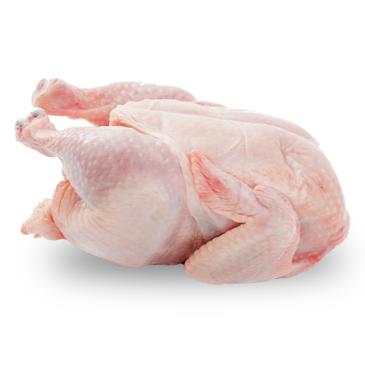 Chicken- Murgi- Huhn