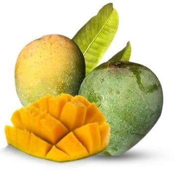 Himsagor Mango