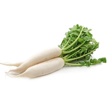 Radish - Mula - Rettich